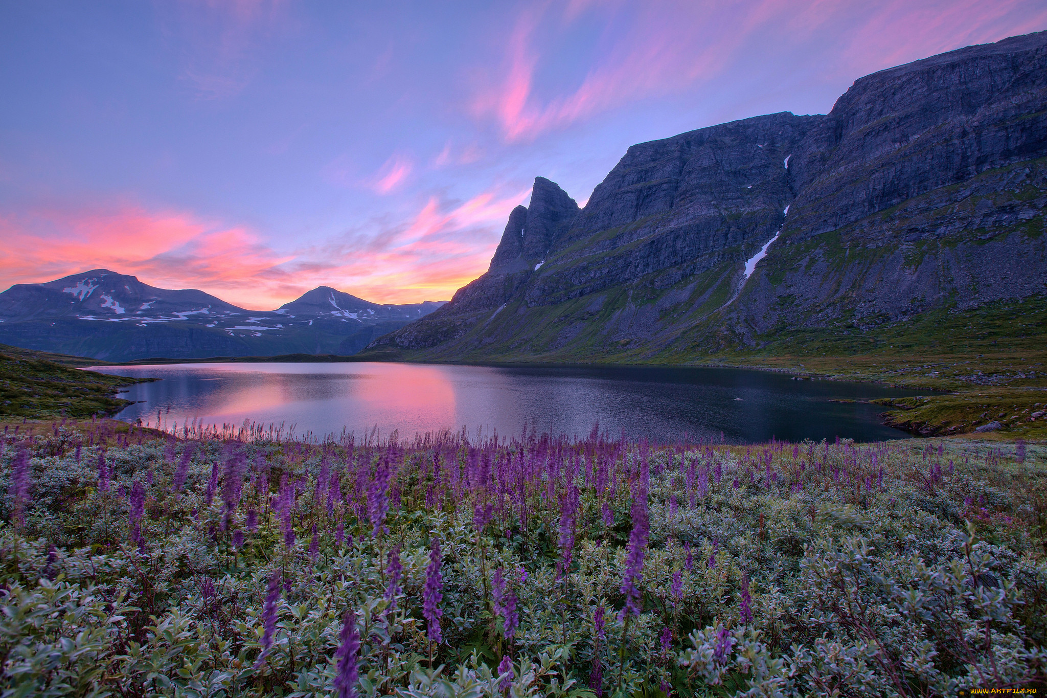 Природа обновилась. Озеро МЬЁСА Норвегия. Вереск Норвегия. Скандинавия фьорды. Тромсё Норвегия Цветущий Вереск.